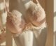 découvrez la sensualité raffinée avec lingerie le chat, votre boutique de lingerie de nuit haut de gamme. sublimez vos nuits avec des pièces élégantes, confortables et irrésistiblement séduisantes.
